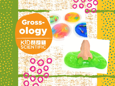 Grossology Workshop (4-9 Years)
